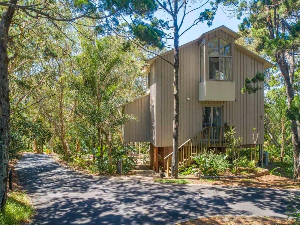The Oasis Apartments And Treetop Houses Byron Bay Buitenkant foto