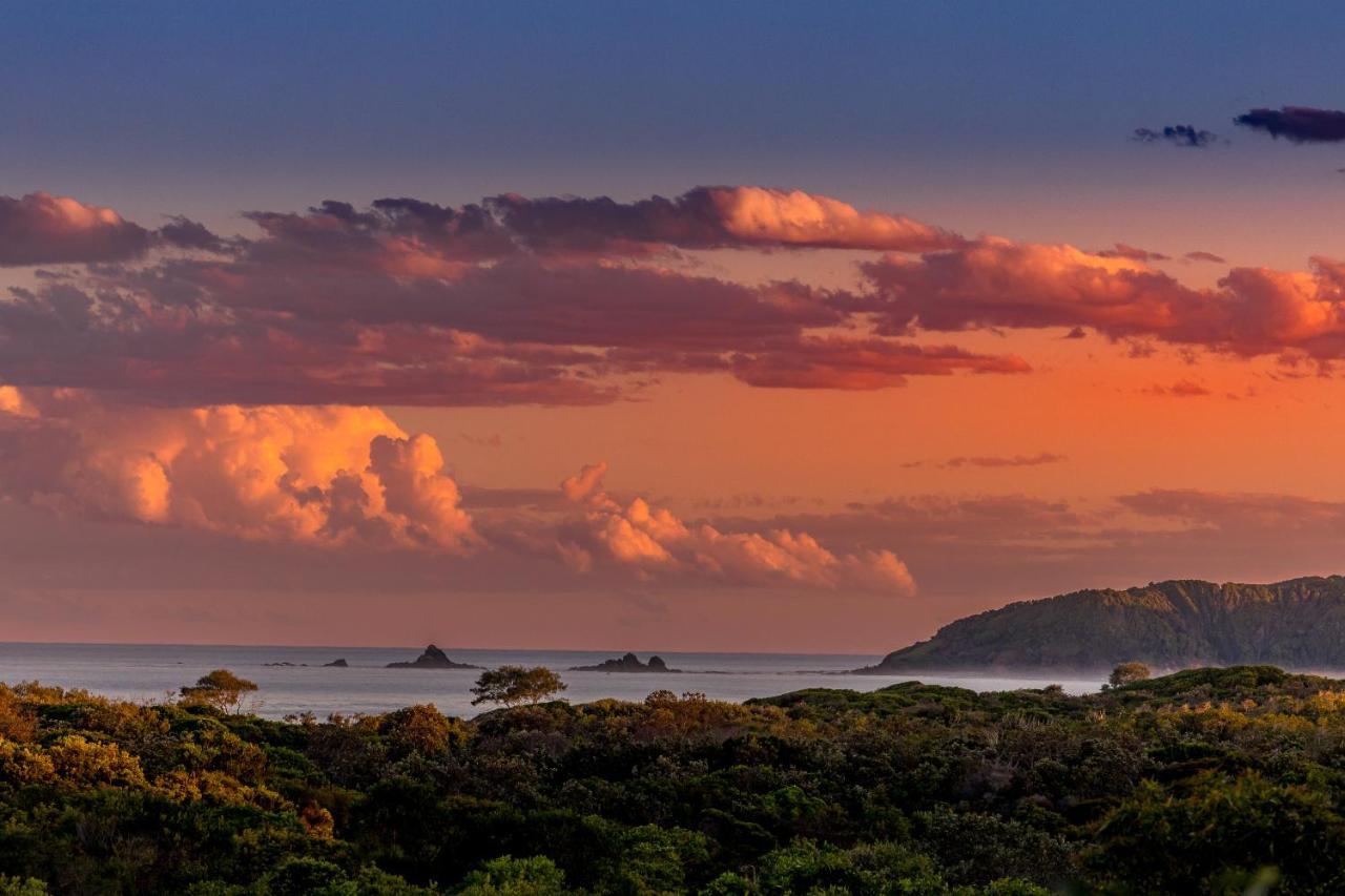 The Oasis Apartments And Treetop Houses Byron Bay Buitenkant foto