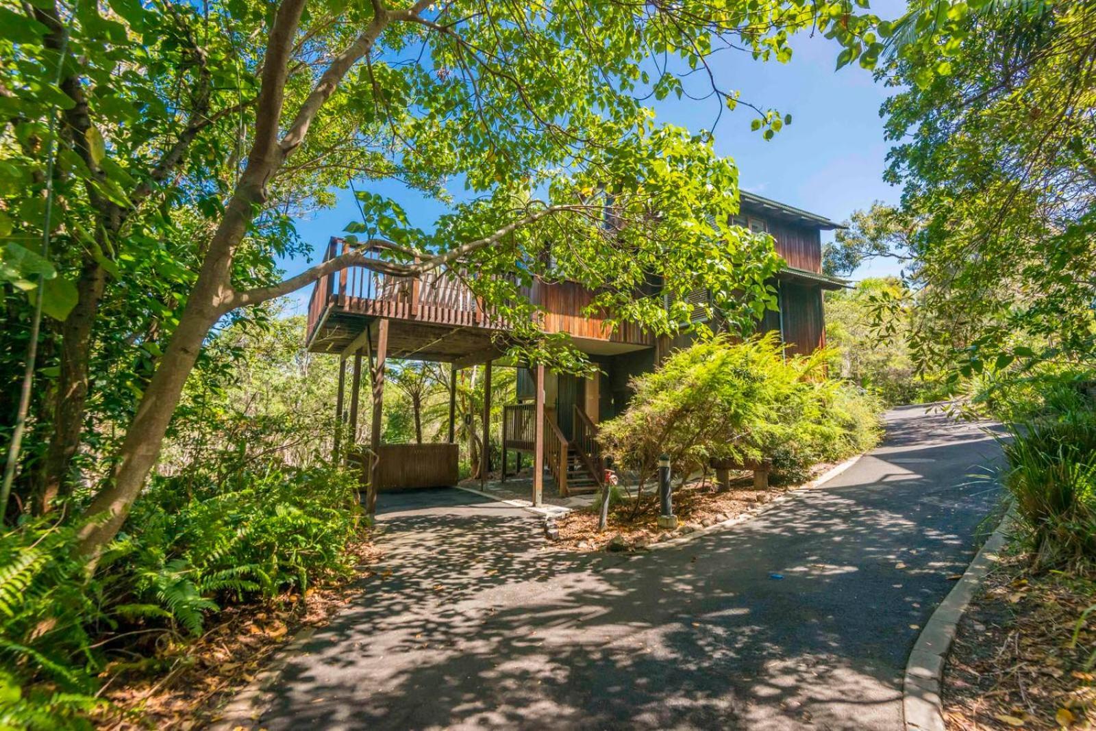 The Oasis Apartments And Treetop Houses Byron Bay Buitenkant foto